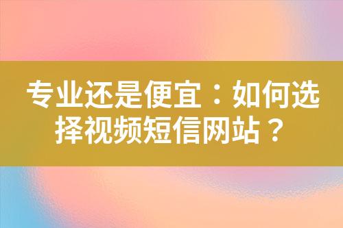 專業還是便宜：如何選擇視頻短信網站？