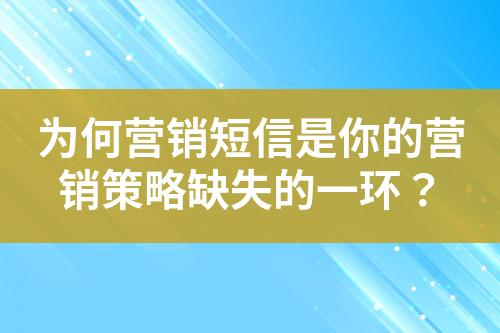 為何營銷短信是你的營銷策略缺失的一環(huán)？