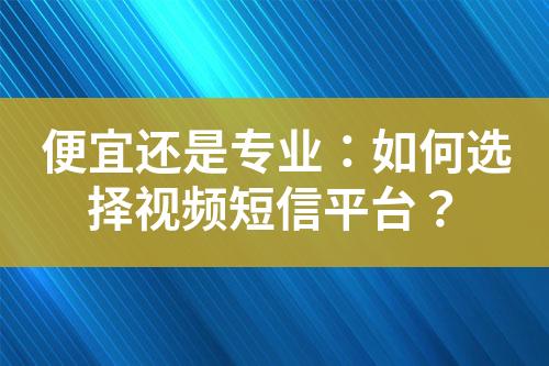 便宜還是專業：如何選擇視頻短信平臺？