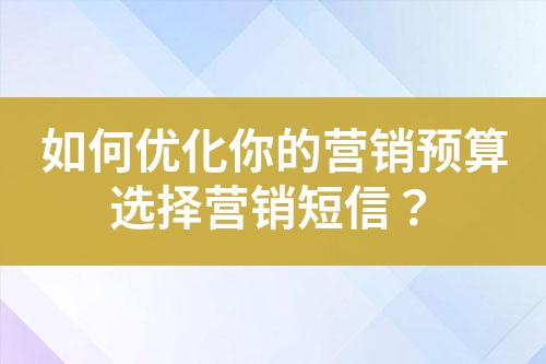 如何優化你的營銷預算選擇營銷短信？