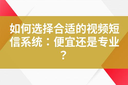 如何選擇合適的視頻短信系統：便宜還是專業？